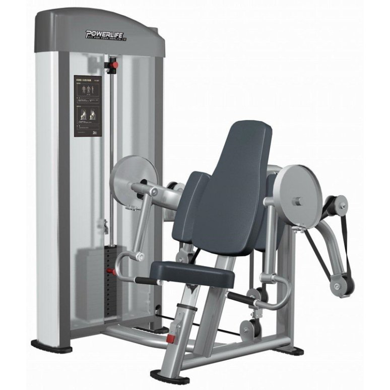 Relax Biceps Curl PL1207